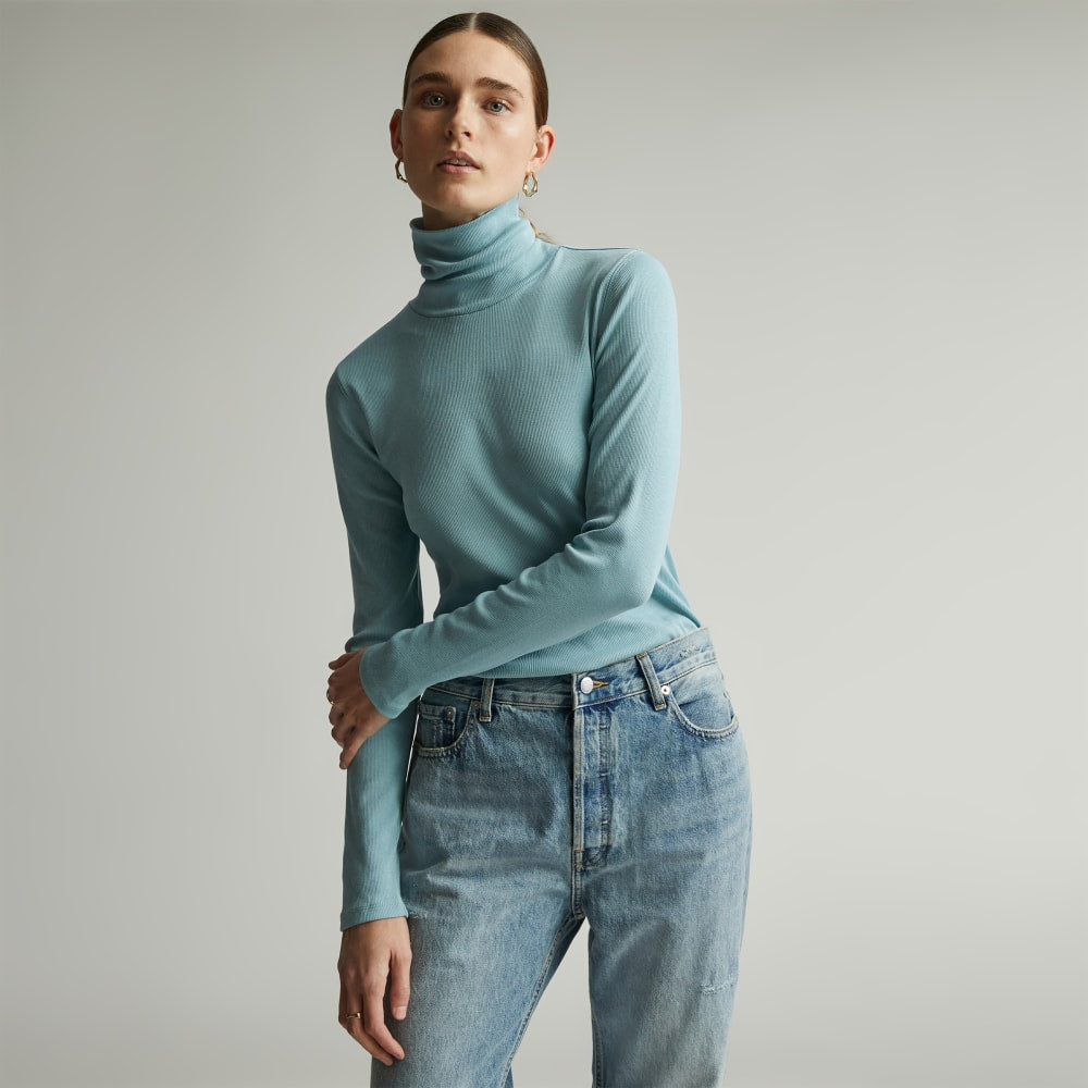 womens-supima-rib-turtleneck-blue-shadow | primary