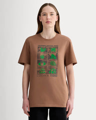 womens-parks-cotton-crew-brown-green-iron | primary