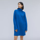 womens-cozy-stretch-turtleneck-dress-heathered-lapis-blue | primary