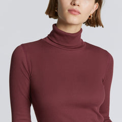 womens-supima-rib-turtleneck-brandy