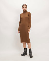 womens-cotton-merino-turtleneck-dress-camel | primary