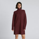 womens-cozy-stretch-turtleneck-dress-brandy | primary