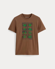 womens-parks-cotton-crew-brown-green-iron
