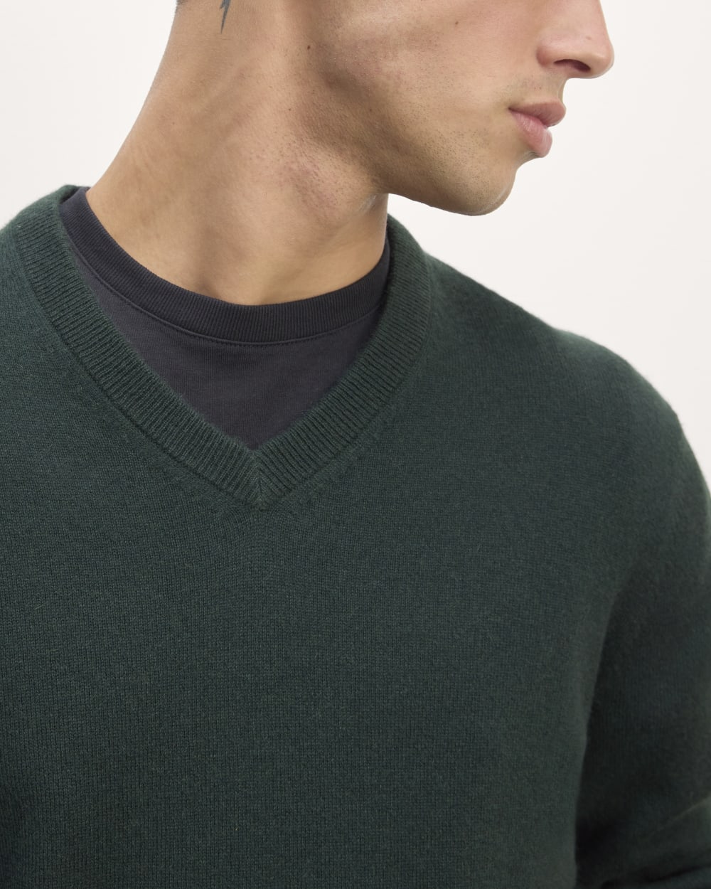 mens-cashmere-vneck-scarab