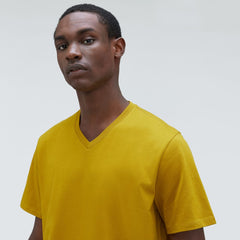 mens-organic-cotton-v-neck-tee-golden-palm