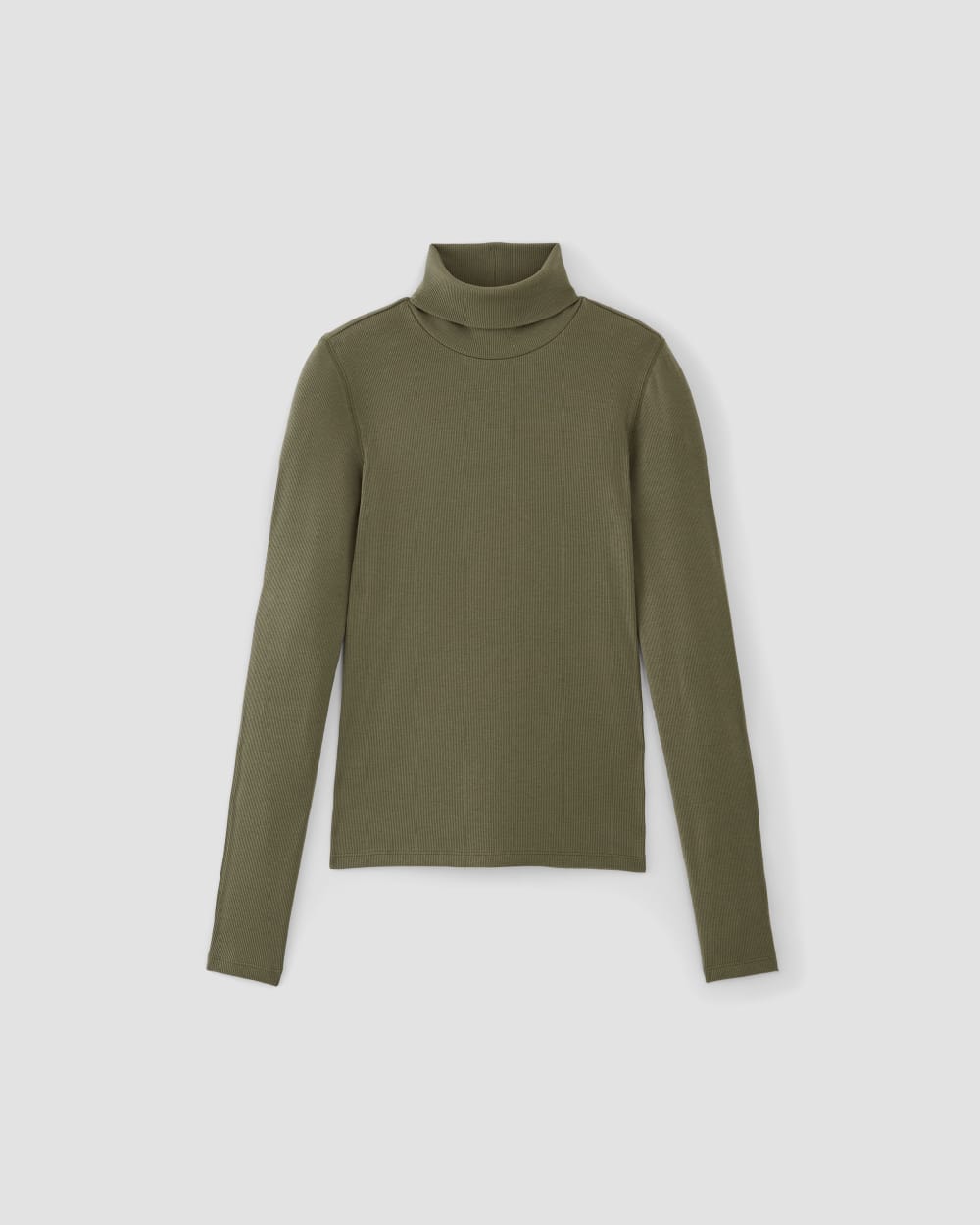 womens-supima-rib-turtleneck-kalamata | alt