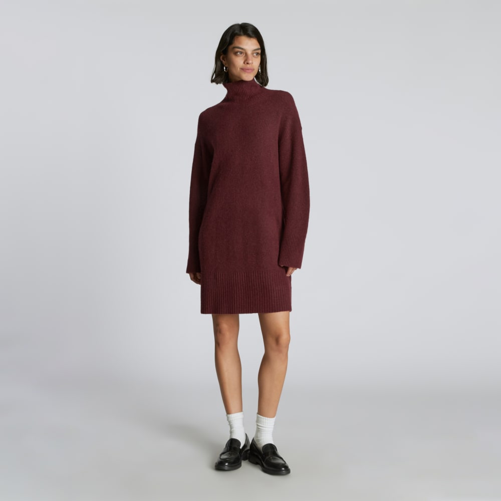 womens-cozy-stretch-turtleneck-dress-brandy