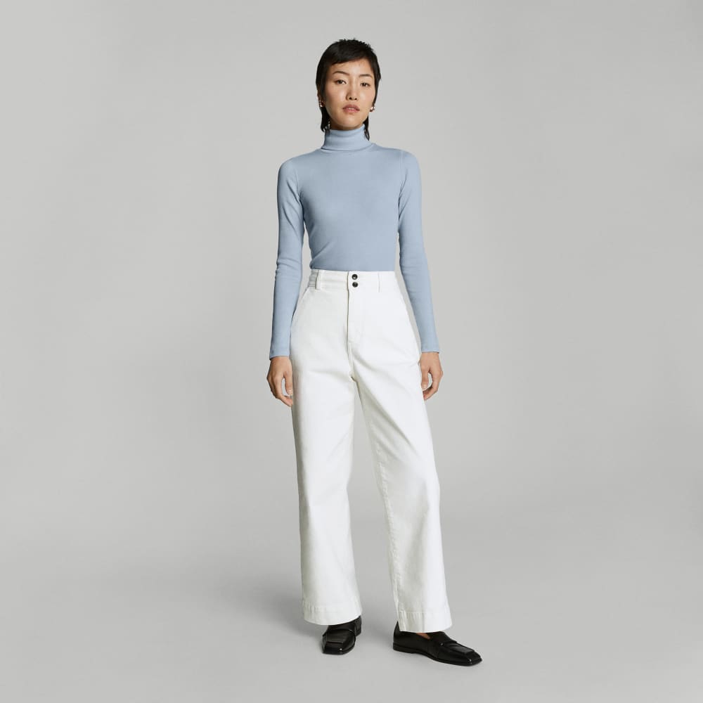 womens-supima-rib-turtleneck-mist