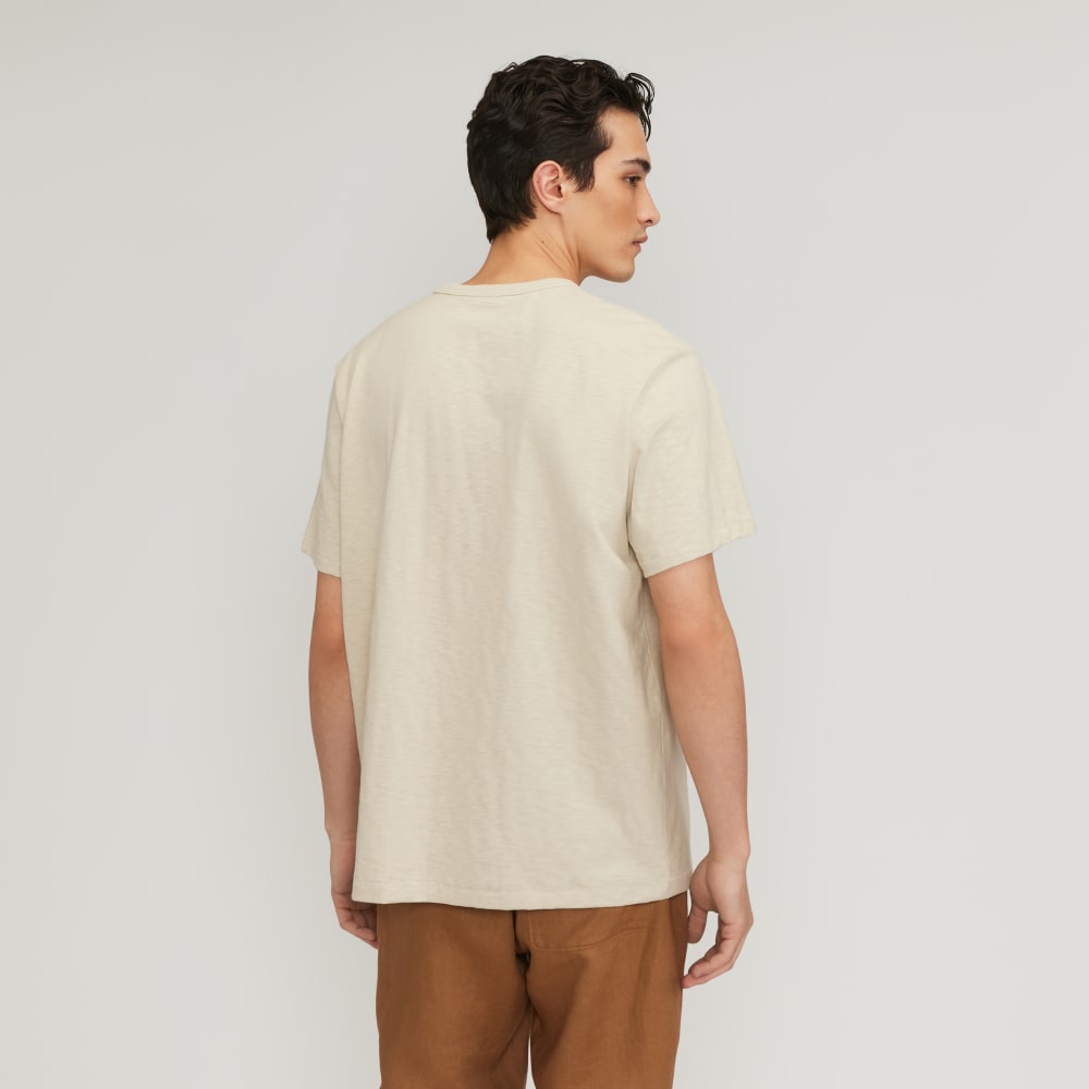 mens-good-earth-cotton-slub-crew-pelican