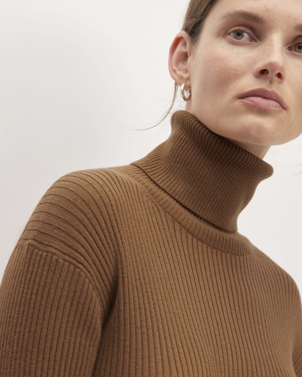 womens-cotton-merino-turtleneck-dress-camel