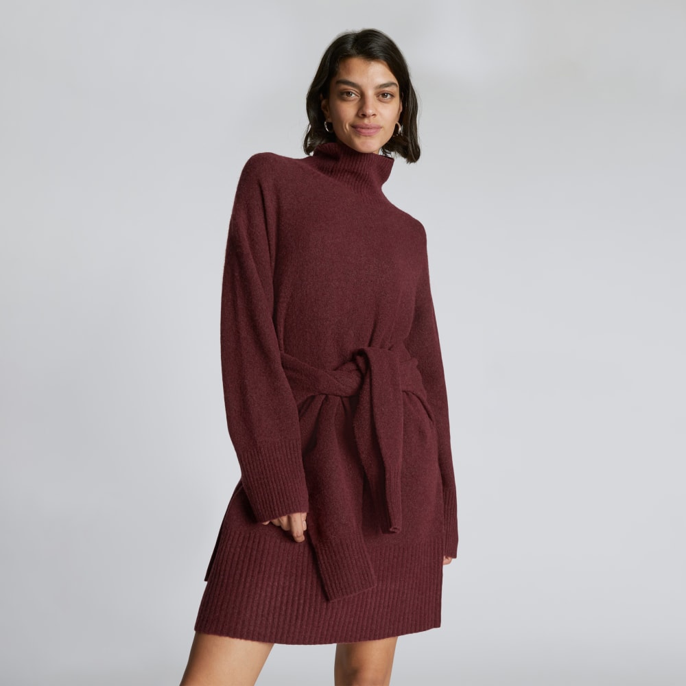 womens-cozy-stretch-turtleneck-dress-brandy