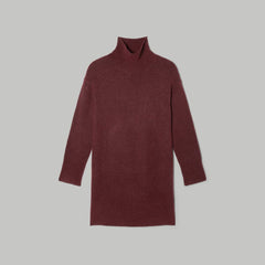 womens-cozy-stretch-turtleneck-dress-brandy | alt