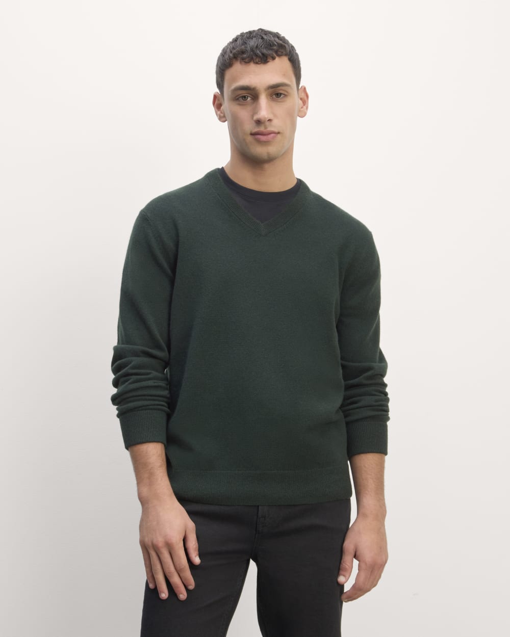 mens-cashmere-vneck-scarab | primary