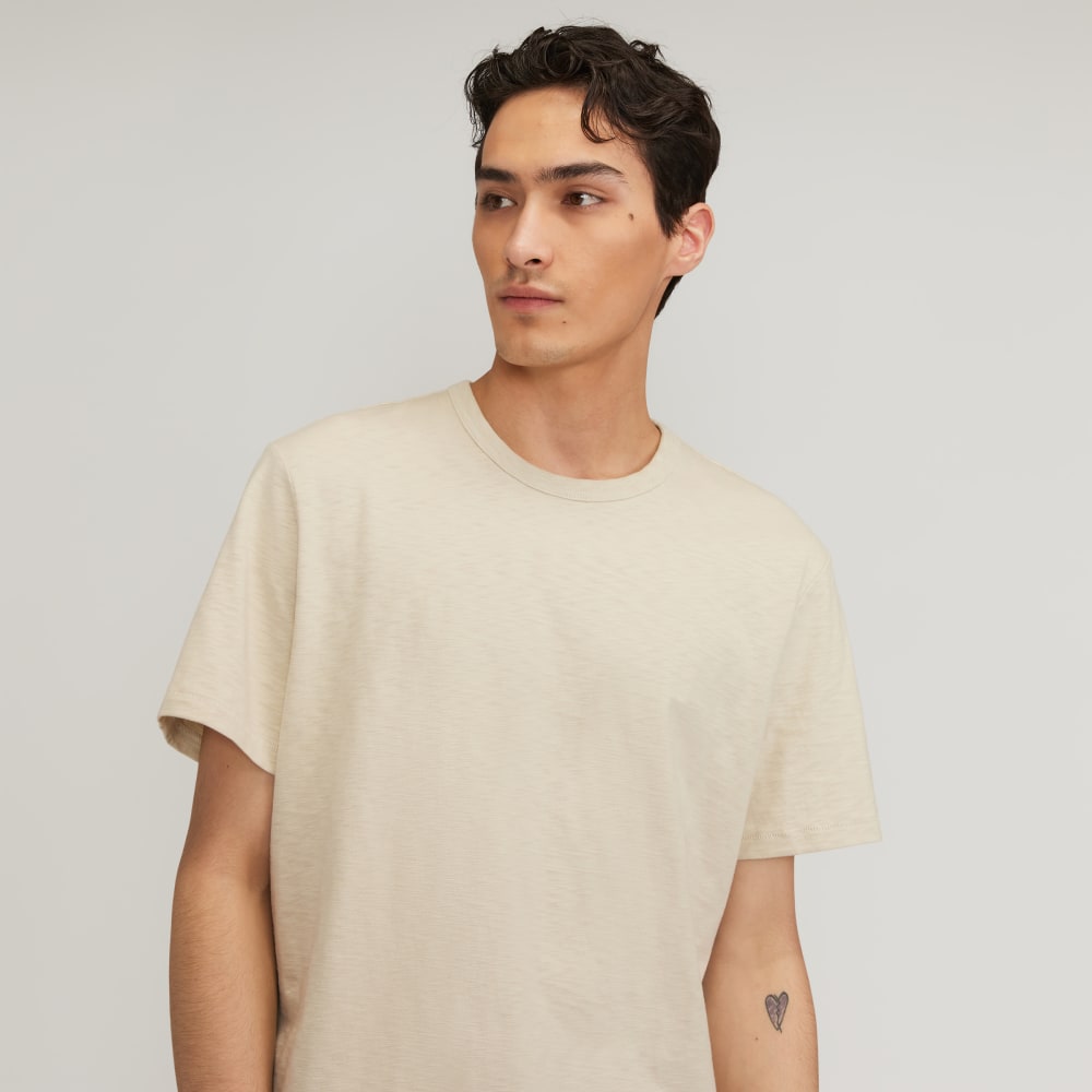 mens-good-earth-cotton-slub-crew-pelican