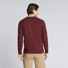 mens-no-sweat-cotton-sweater-brandy