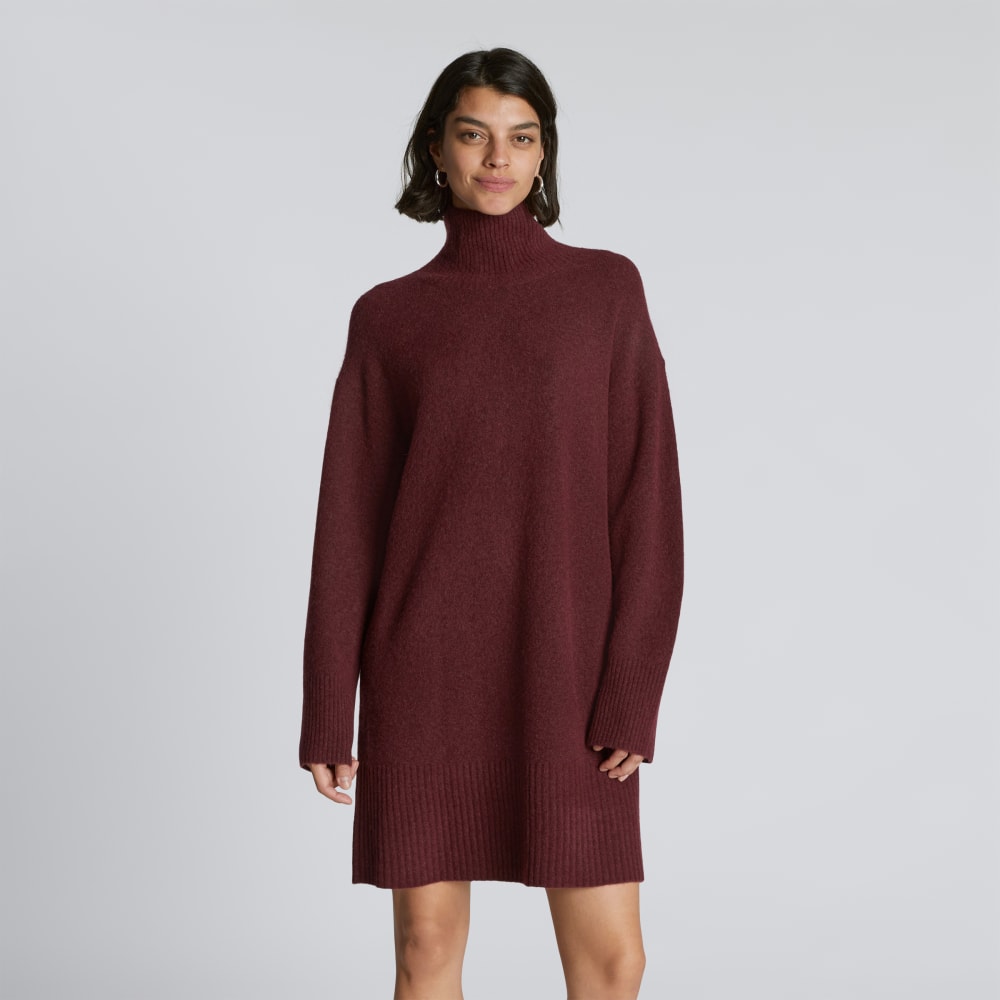 womens-cozy-stretch-turtleneck-dress-brandy | primary