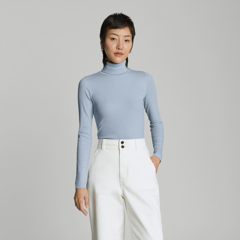womens-supima-rib-turtleneck-mist