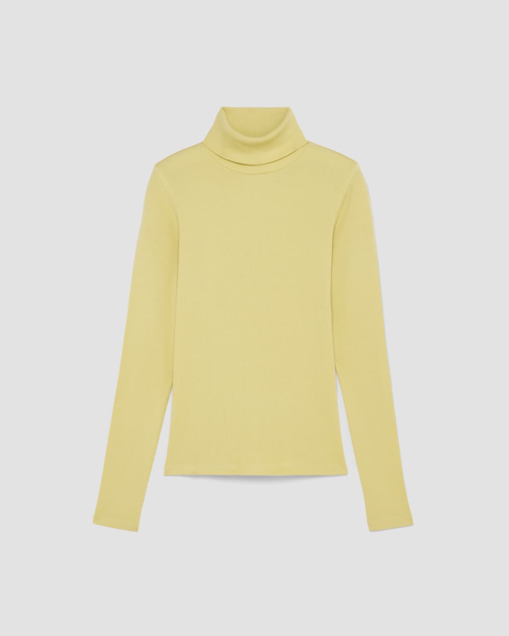 womens-supima-rib-turtleneck-raffia | alt