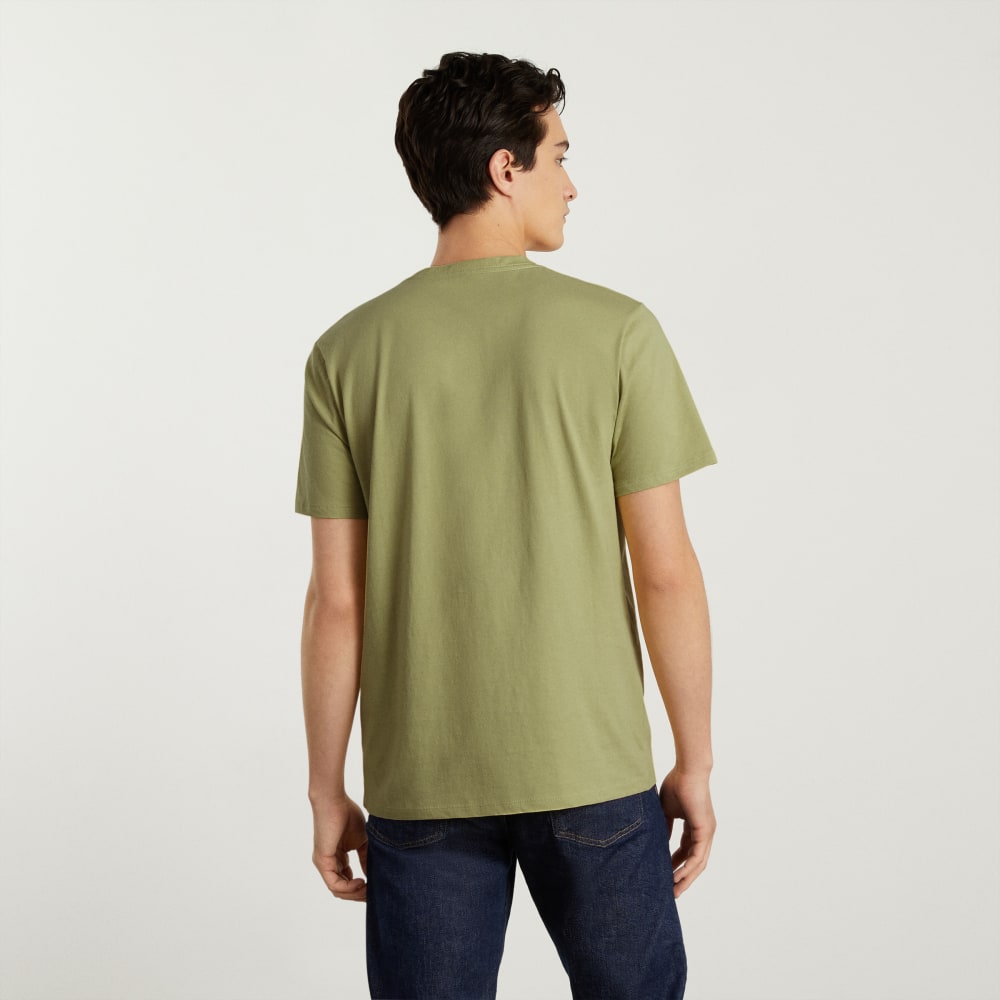 mens-organic-cotton-v-neck-tee-desert-palm
