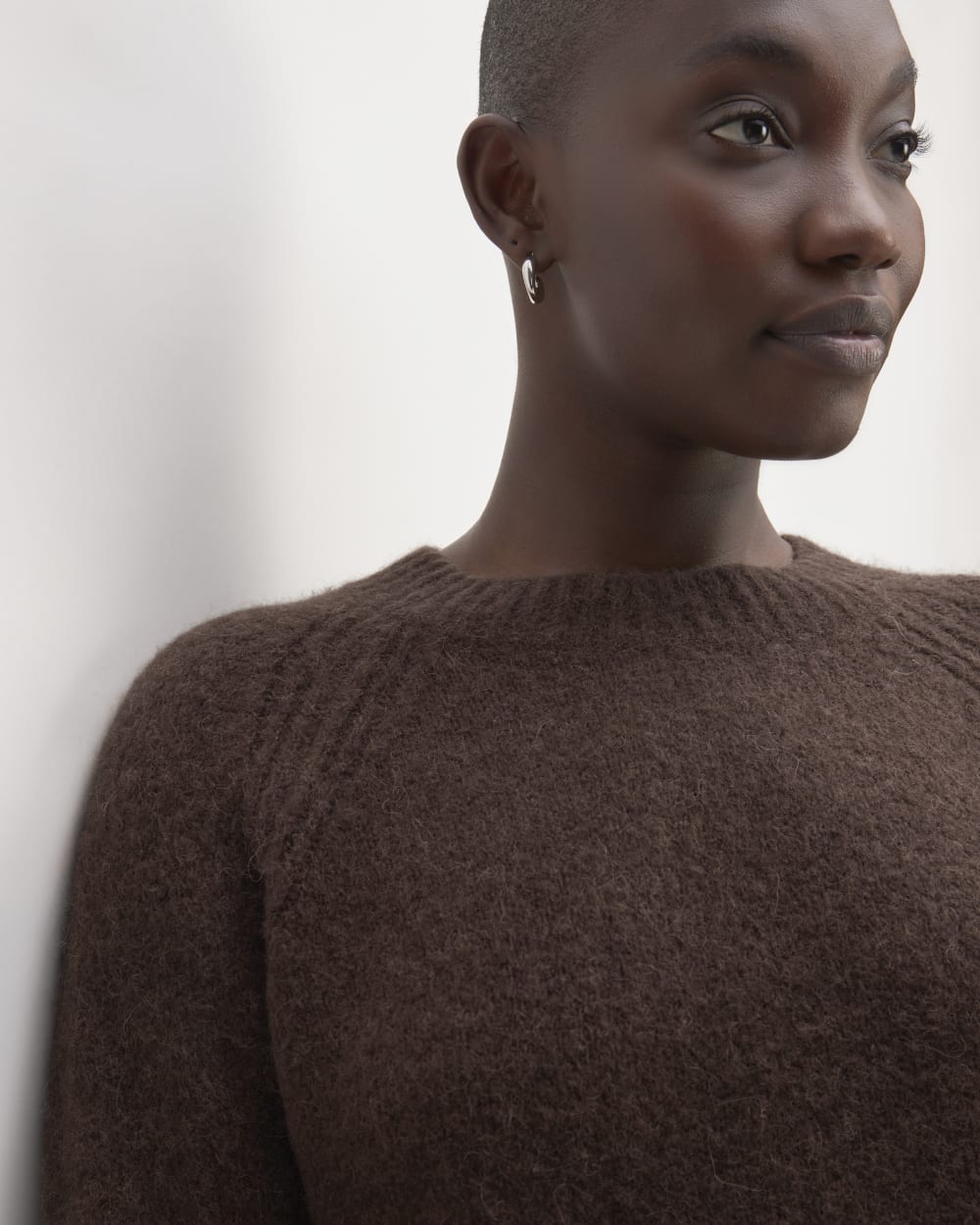 womens-superfuzz-alpaca-crew-earth-brown